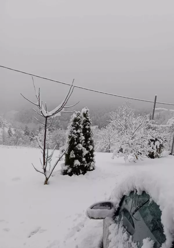 Prizor na Dolenjskem / Foto: Bralec