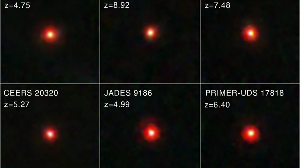 Soon after the start of the NASA/ESA/CSA James Webb Space Telescope's science operations, astronomers noticed something unexpected in the data: red objects that appear small on the sky, located in the distant, young universe. Come to be known as "little red dots" (LRDs), this intriguing class of objects is not well understood at present, sparking new questions and prompting new theories about the processes that occurred in the early universe. A team of astronomers sifted through James Webb Space Telescope data from multiple surveys to compile one of the largest samples of "little red dots" (LRDs) to date. The team started with the Cosmic Evolution Early Release Science (CEERS) survey before widening their scope to other extragalactic legacy fields, including the JWST Advanced Deep Extragalactic Survey (JADES) and the Next Generation Deep Extragalactic Exploratory Public (NGDEEP) survey. From their sample, they found that these mysterious red objects that appear small on the sky emerge in large numbers around 600 million years after the big bang and undergo a rapid decline in quantity around 1.5 billion years after the big bang. Spectroscopic data of some of the LRDs in their sample, provided by the Red Unknowns: Bright Infrared Extragalactic Survey (RUBIES), suggests that many are accreting black holes. However, further study of these intriguing objects is required. [Image description: Six Webb images of little red dots are combined in a two-row mosaic. Each little red dot is centered within a square frame and lies against the black background of space. Each dot has a yellow-white circular core surrounded by a red, fuzzy ring. White text in the top left corner of each box lists the source's name from the Webb surveys, and its redshift. From left to right, the top row reads CEERS 14448, z = 4.75; NGDEEP 4321, z = 8.92; and PRIMER-COS 10539, z = 7.48. The bottom row reads CEERS 20320, z = 5.27; JADES 9186, z = 4.99; and PRIMER-UDS 17818, z = 6.40.]