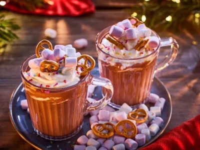 Lidl za božičnico Nedeljskega / Foto: 747studiosgmbh