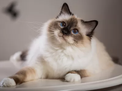 Kaj ni lepa? / Foto: Istock