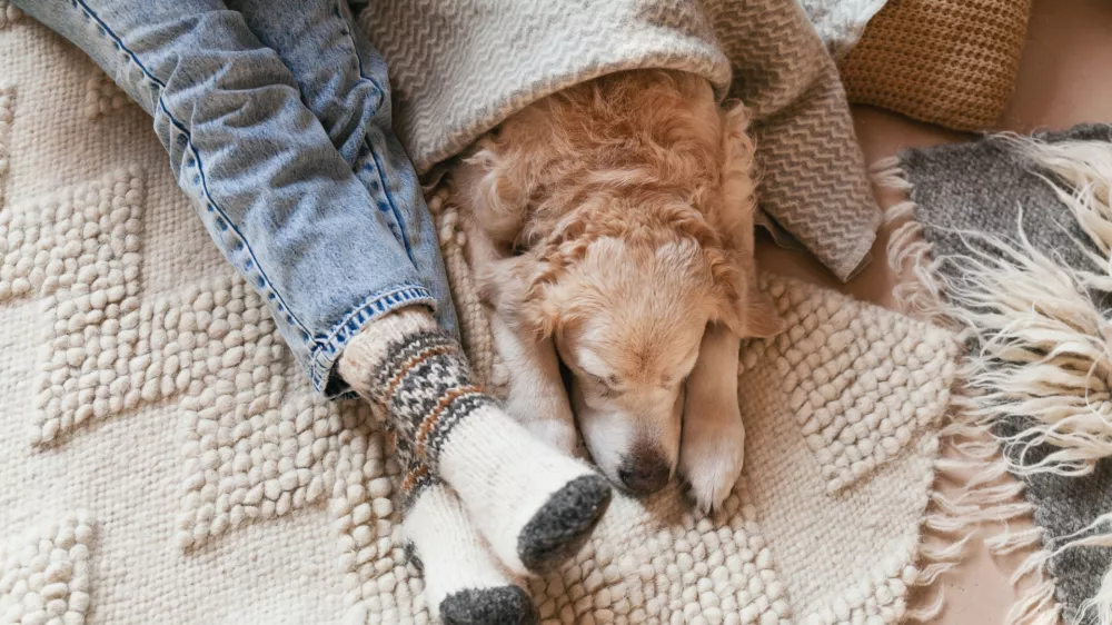 Veliko je pomagalo, da so se udeleženci eksperimenta ustrezno oblekli in imeli pri roki odejo. / Foto: Istock