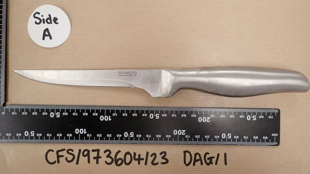The knife used by Cameron Davis who stabbed Lorna England, 74, to death. Release date � July 9, 2024. A man has been found guilty of knifing a pensioner to death in broad daylight - just hours after pledging to murder a stranger if he wasn't sectioned. Cameron Davis, 31, faces life in prison for stabbing Lorna England, 74, at least twice in a park as she walked home from a routine shopping trip to Lidl for some flour. The pair, who had never met, tragically crossed paths in Ludwell Valley Park in Exeter, Devon, on 18 February last year, a trial heard. Just hours earlier, Davis, of Exmouth, Devon, had been assessed by mental health workers and told them he would 'kill a random' if they released him. After being told he wouldn't be sectioned, he left the Royal Devon and Exeter Hospital around five hours before Lorna was killed - buying two bottles of vodka and a kitchen knife on route.,Image: 888634975, License: Rights-managed, Restrictions: Editorial use, commercial use may require additional licenses. We don't use AI to make images which could be mistaken for news photos. AI use will be clearly indicated. Supplied on condition you ensure personal data is processed in compliance with DPA2018, Model Release: no