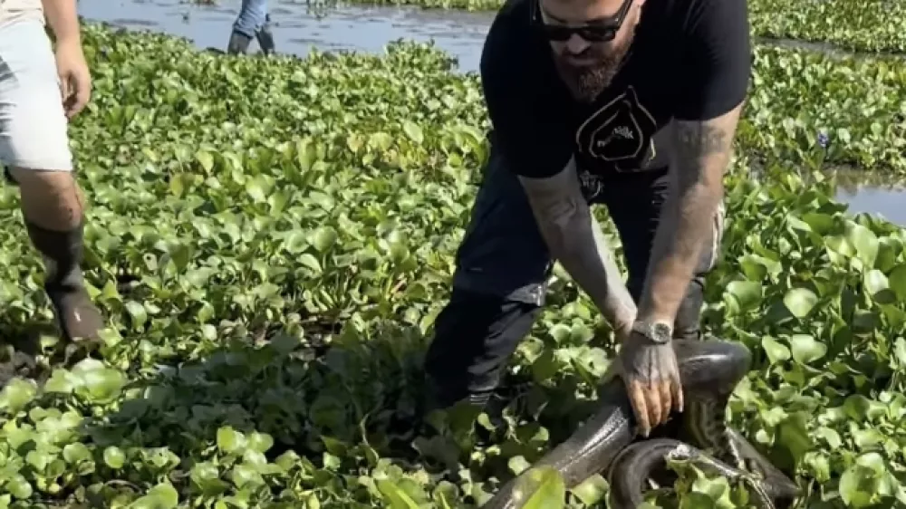Kristijan Iličić se je med potovanjem po Venezueli srečal z anakondo. F instagram