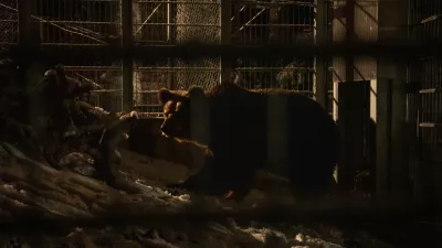 Arbesbach, Austria | 2025 11 25 | Rescue of Bear Mici from private keeping in Slovenia. A FP team and bear Mici arrive at BEAR SANCTUARY Arbesbach in Austria, where she is released into her quarantine enclosure.