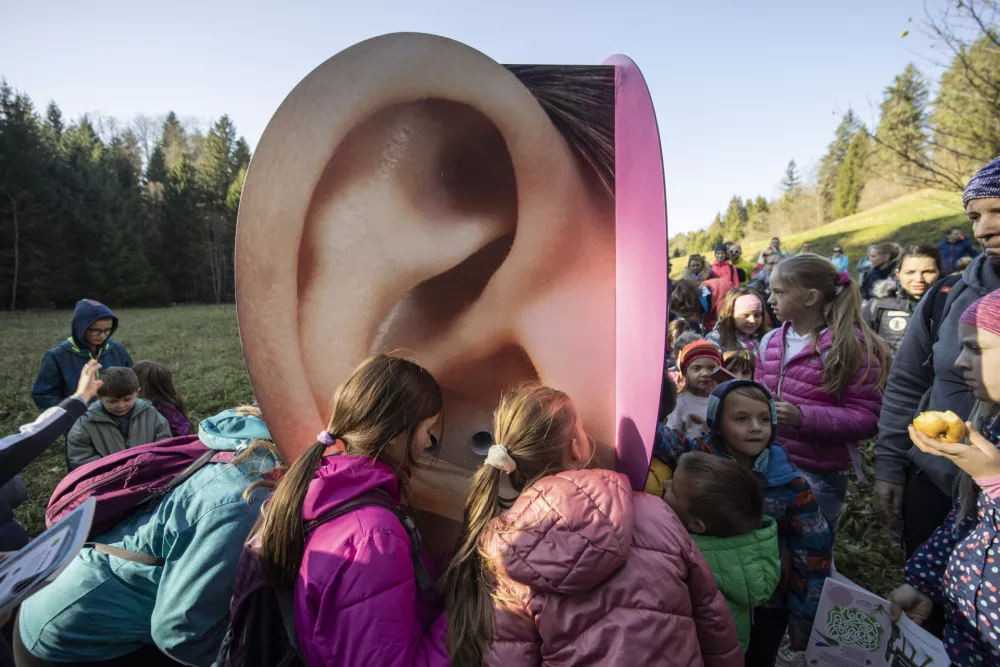 JEZIČNA DOGODIV&Scaron;ČINA&nbsp;V TRUBARJEVIH KRAJIH.