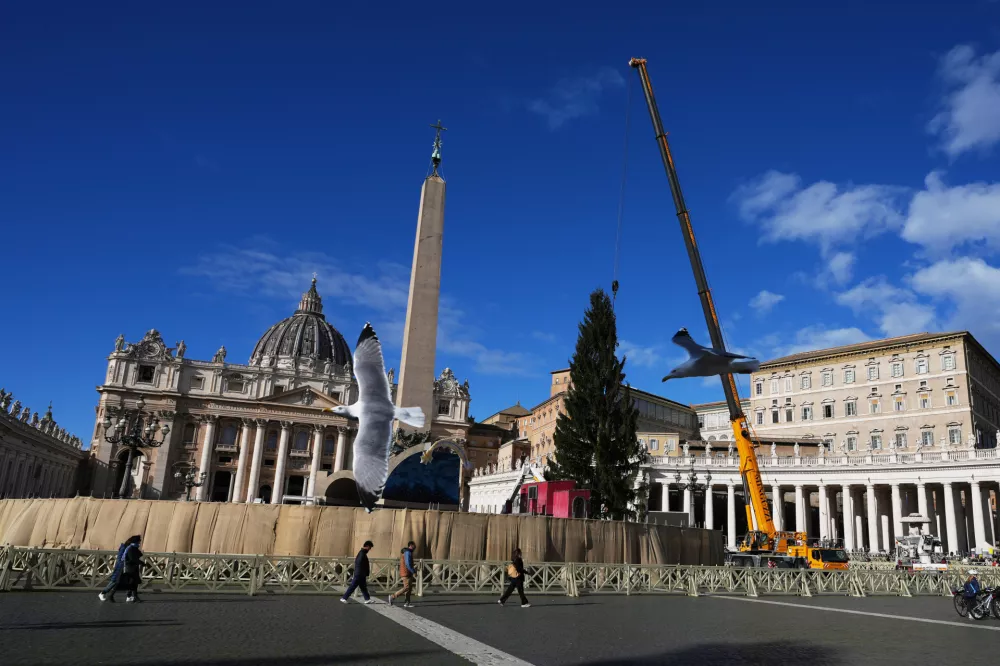 A 27-meter (88.6-foot) fir tree coming from the Alpine valley of Ultimo, Bolzano, in Trentino&ndash;Alto Adige, Italy, is lifted up in St. Peter's Square to be decorated as Christmas tree at the Vatican, Thursday, Nov. 27, 2025. (AP Photo/Alessandra Tarantino)