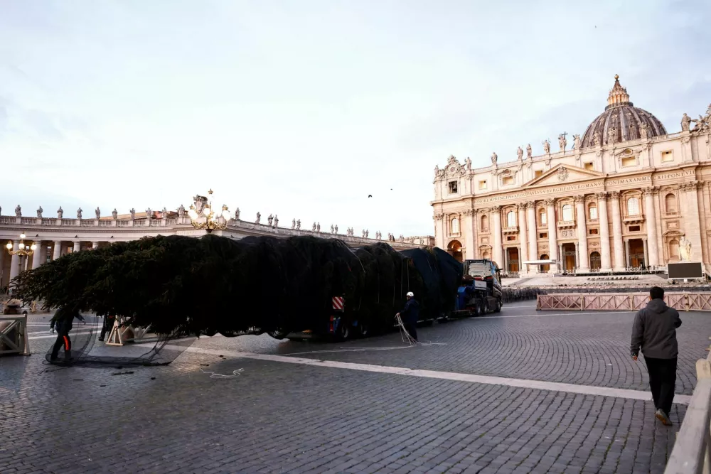 A Christmas tree arrives in St. Peter's Square ahead of the festive season at the Vatican, November 27, 2025. REUTERS/Matteo Minnella   TPX IMAGES OF THE DAY