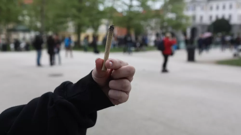 Bo koalicija po dveh referendumskih porazih tvegala &scaron;e s konopljo?