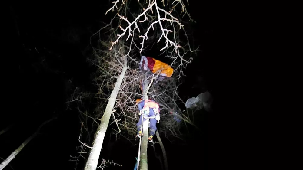 &Scaron;kofjelo&scaron;ki re&scaron;evalci so z drevesa re&scaron;ili jadralno padalko. 