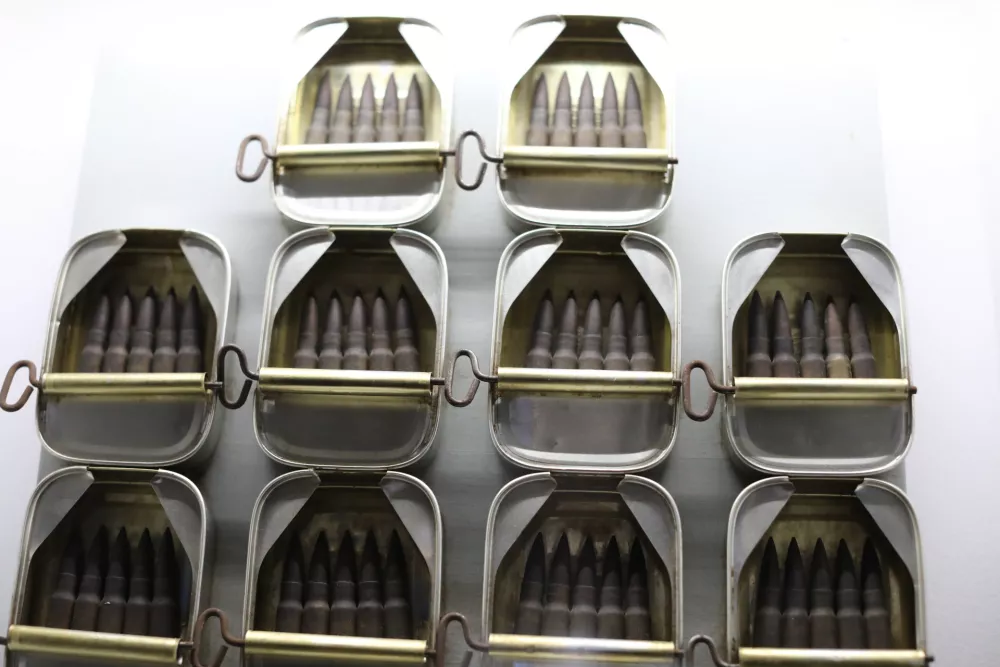 5.11.2025 - Odprtje razstave Stane Jagodič: Zakaj?Foto: Luka Cjuha