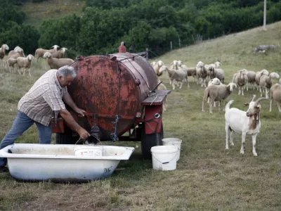 voda - napajalnik - cisterna - banja- ovčjereja in kozjereja - ovce - koze - //FOTO: Bojan Velikonja