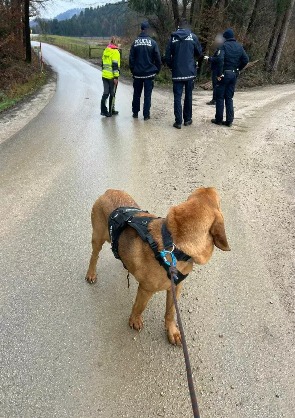 Iskalna akcija: Jaka izstopil iz taksija in izginil