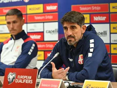 Veljko Paunović, Srbija