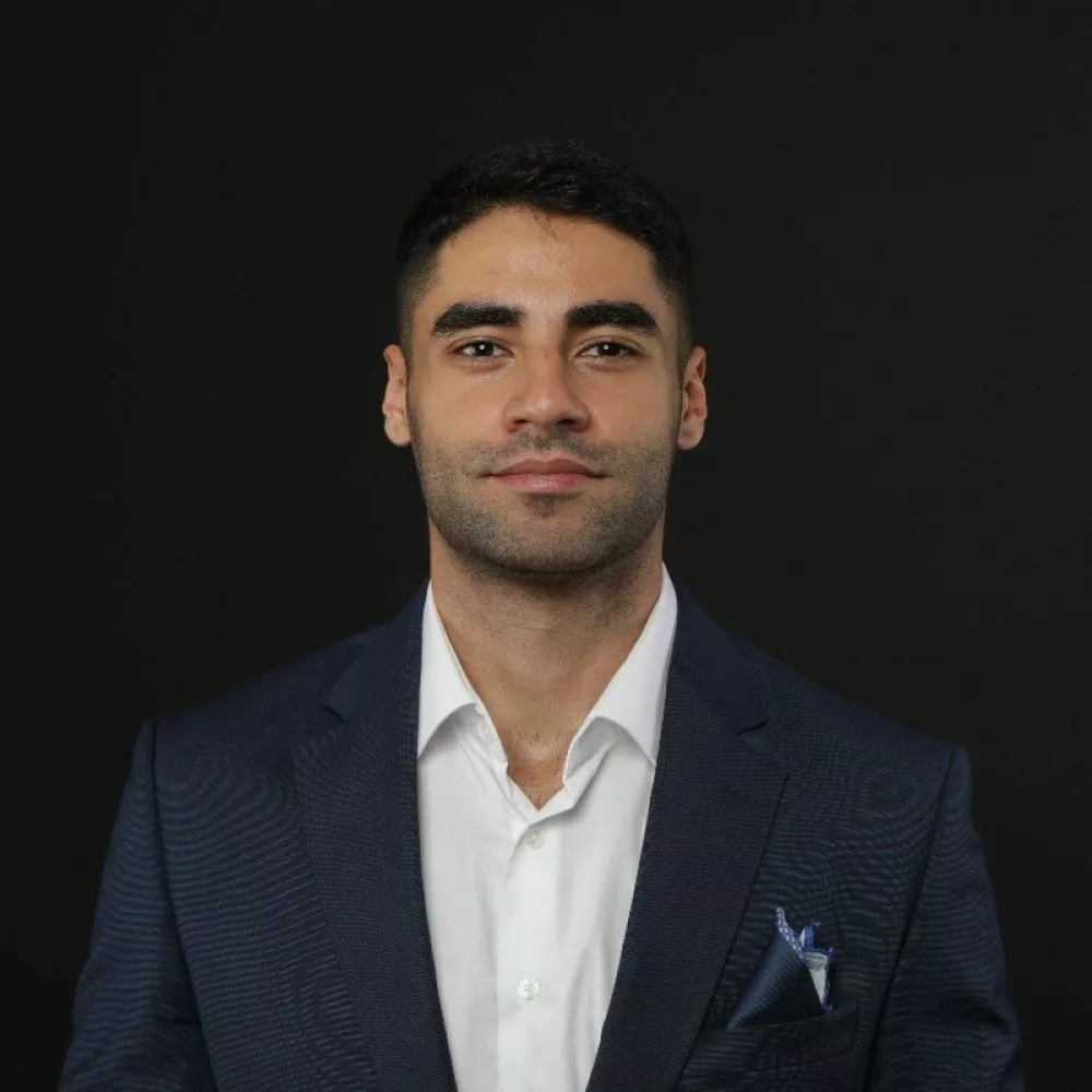 Bassel Doueik, geopolitični analitik