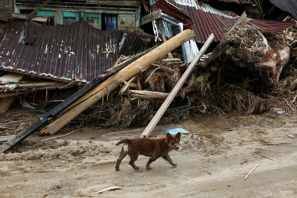 A dog walks in front of heavily damaged houses following deadly flash flood in Batang Toru, South Tapanuli, North Sumatra province, Indonesia, December 6, 2025. REUTERS/Willy Kurniawan