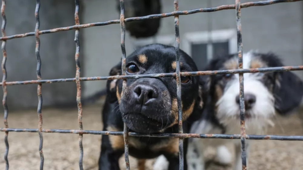 Lastniki zaveti&scaron;č napovedujejo zlom sistema