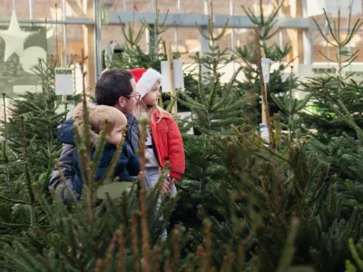 Father and children choose a Christmas tree in the market.