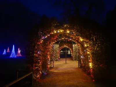 novoletne lučke božični praznikiadvent13.11.2025 Prižig novoletnih luči - arboretum Volčji potokFoto: Nik Erik Neubauer / Foto: Nik Erik Neubauer