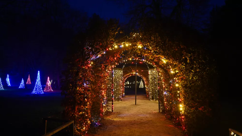 novoletne lučke božični praznikiadvent13.11.2025 Prižig novoletnih luči - arboretum Volčji potokFoto: Nik Erik Neubauer / Foto: Nik Erik Neubauer