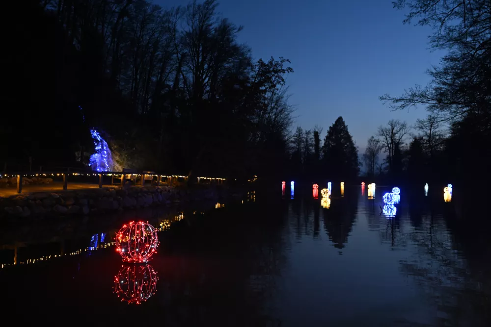 novoletne lučke božični praznikiadvent13.11.2025 Prižig novoletnih luči - arboretum Volčji potokFoto: Nik Erik Neubauer / Foto: Nik Erik Neubauer