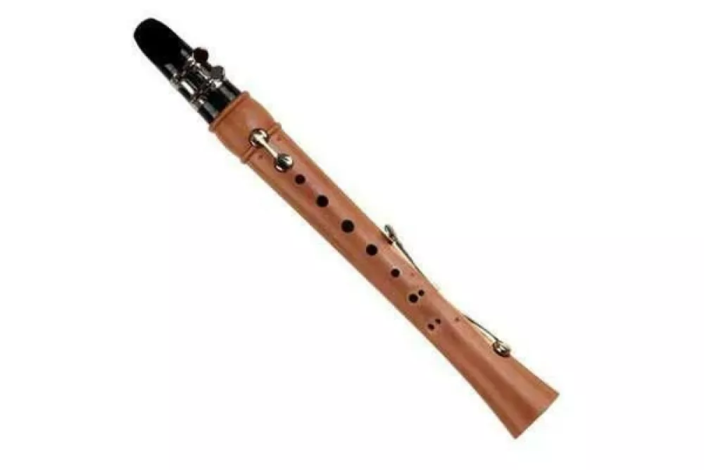 Preprosto pihalo chalumeau, iz katerega je Denner izdelal bolj kompleksen in&scaron;tument, klarinet.  / Foto: Spletna Stran Johann Denner