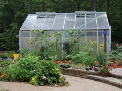 Rastlinjak. Slika je simbolična. / Foto: Istock