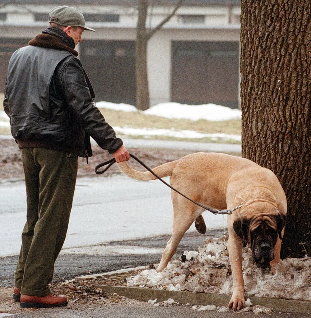 Janez Drnov&scaron;ek z Arturjem / Foto: Luka Cjuha