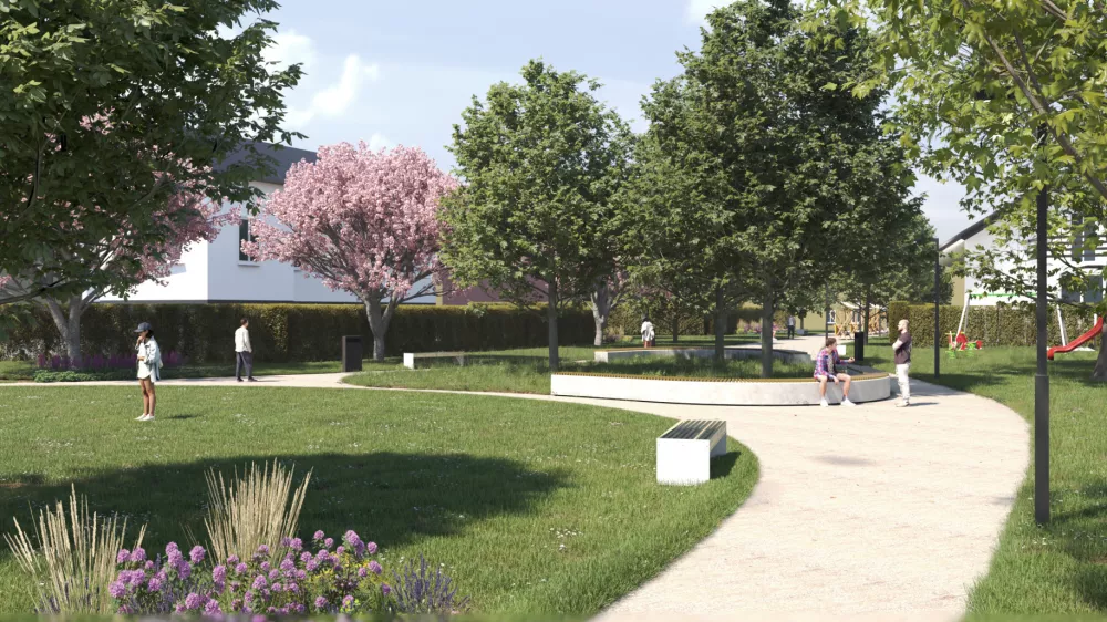 Načrtujejo ozelenitev centra Dobrove