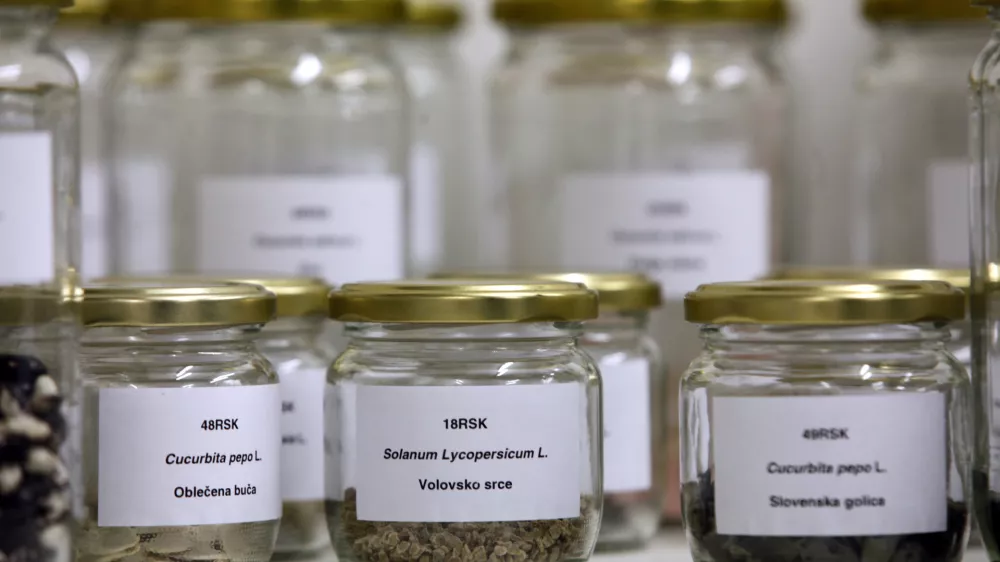 - Dru&scaron;tvo varuhi semen Maribor - projekt semenska knjižnica - slovenska avtohtona semena- Digitalni herbarij semenske knjižnice - projekt Urbanih brazd, programskega sklopa EPK, - rastlinska banka semen avtohtonih, domačih in tradicionalnih vrst ter sort kulturnih rastlin, ki si jih je mogoče izposoditi za gojenje. ///FOTO: Luka Cjuha OPOMBA: ZA OBJAVO V PRILOGI &ndash; DNEVNIKOV OBJEKTIV - REPORTAŽA 2012