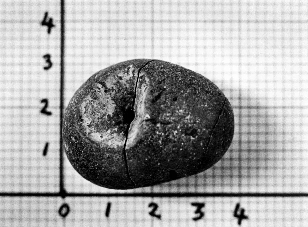 Kamenček, ki je nepojasnjeno priletel v hi&scaron;o. Maurice Grosse je na&scaron;el tri tak&scaron;ne. / Foto: Profimedia