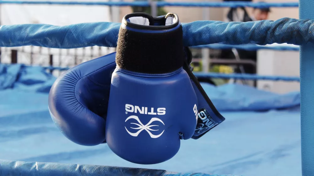 Boksarske rokavice. Simbolična.