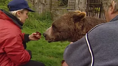 Foto: posnetek zaslona youtube