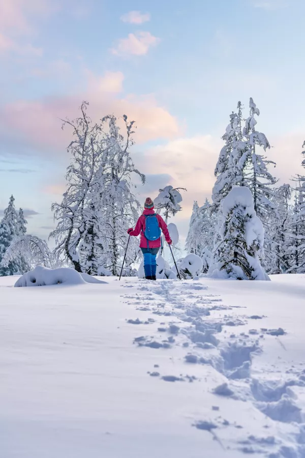 nice and active senior woman hiking with snow shoes in deep powder snow in the Hochhaedrich area of Bregenz Forest in Vorarlberg, Austria / Foto: Uwe Moser