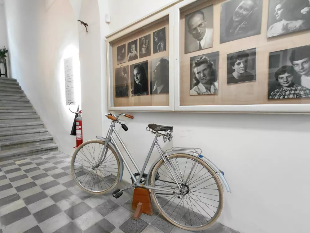 Fotohi&scaron;a Pelikan, v last Muzeja novej&scaron;e zgodovine Celje.