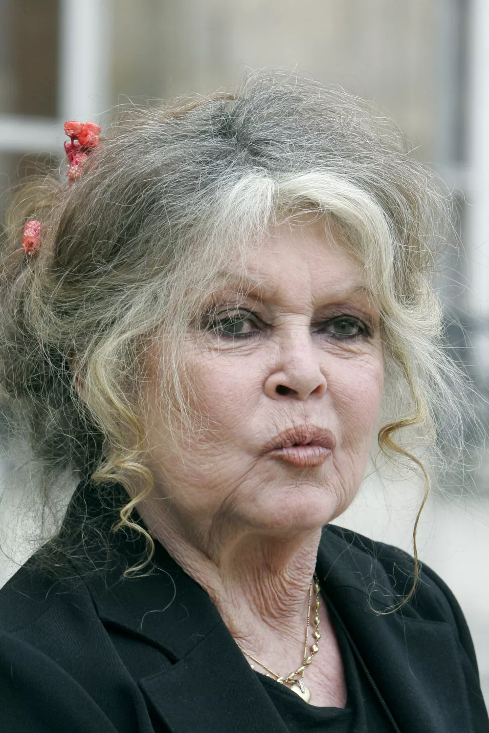 FILE - Former actress and animals rights activist Brigitte Bardot leaves after attending a meeting on the environment with French President Nicolas Sarkozy at the Elysee Palace, Sept. 27, 2007 in Paris. (AP Photo/Jacques Brinon, File)
