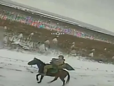 konji vojna v ukrajini