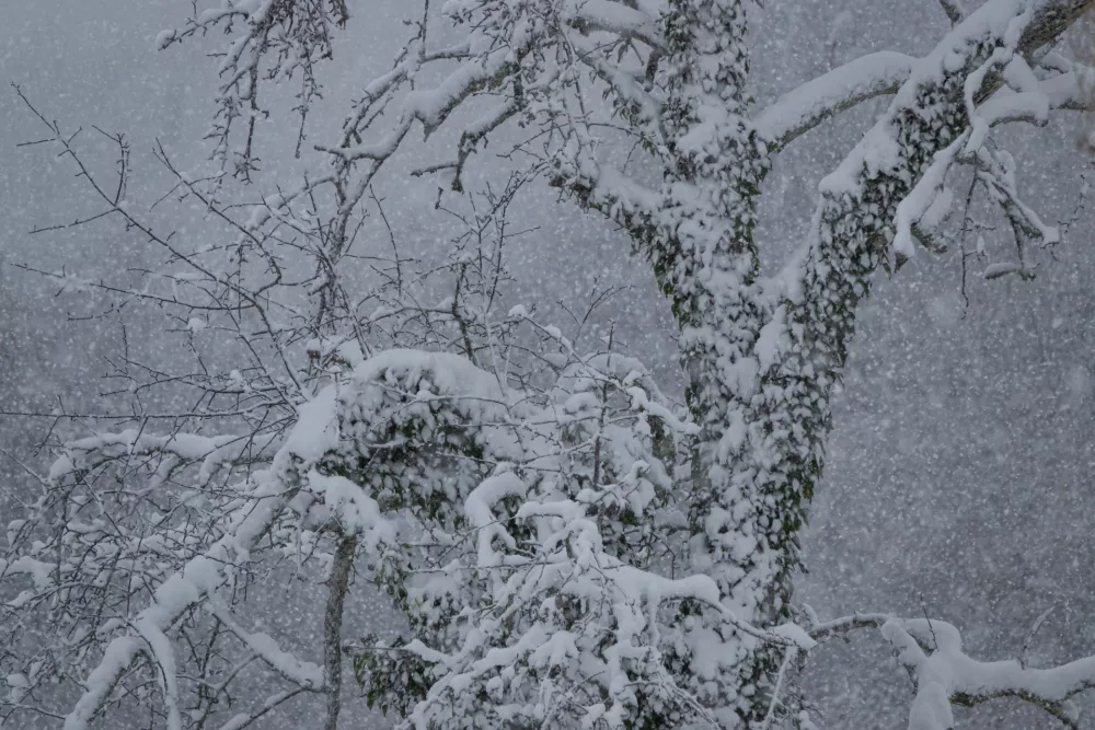 Nekaj bo snega, kot kaže, pa tudi precej dežja. / Foto: Istock