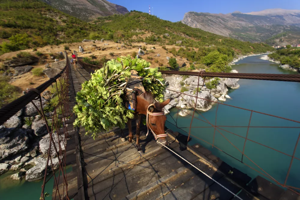 Photo taken in Tirana, Albania