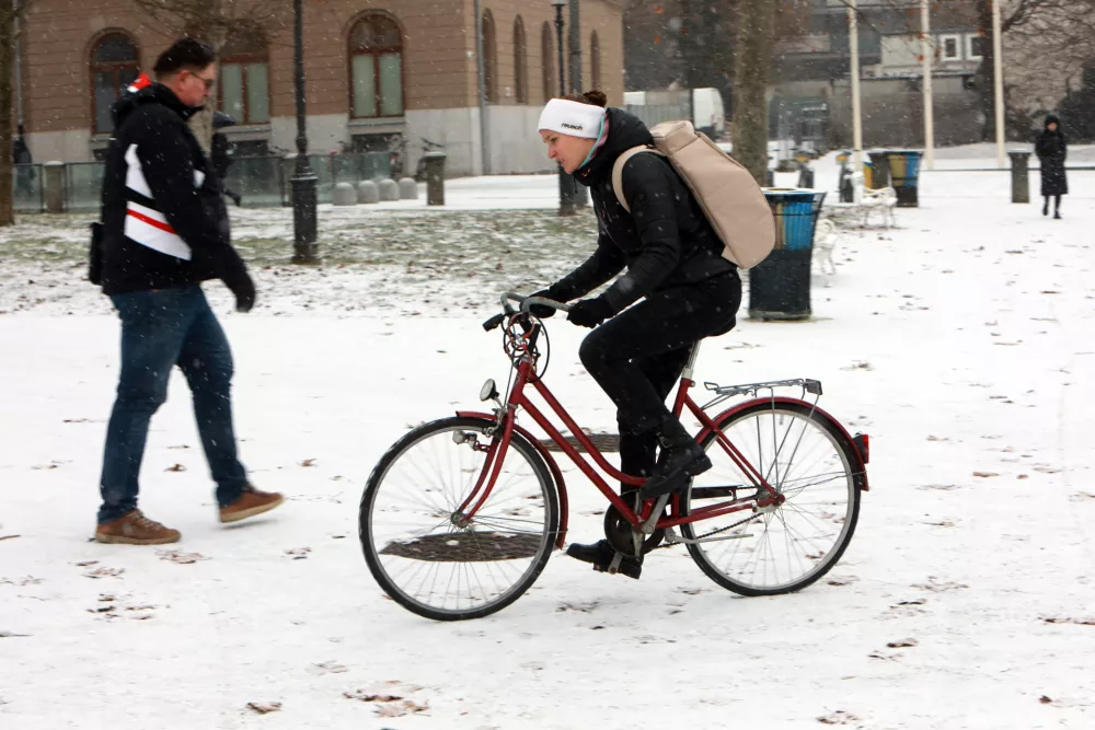 05.01.2026 - simbolična fotografija - sneg, mrazFoto: Tomaž Skale