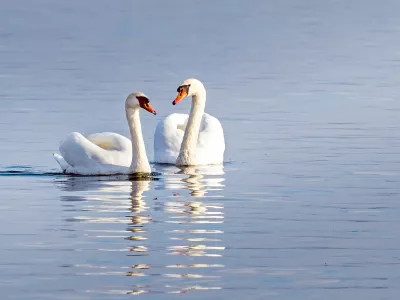Fotografija je simbolična.&nbsp;/ Foto:&nbsp;Getty Images