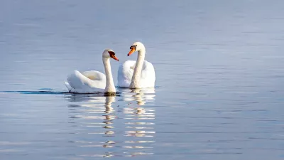 Fotografija je simbolična.&nbsp;/ Foto:&nbsp;Getty Images