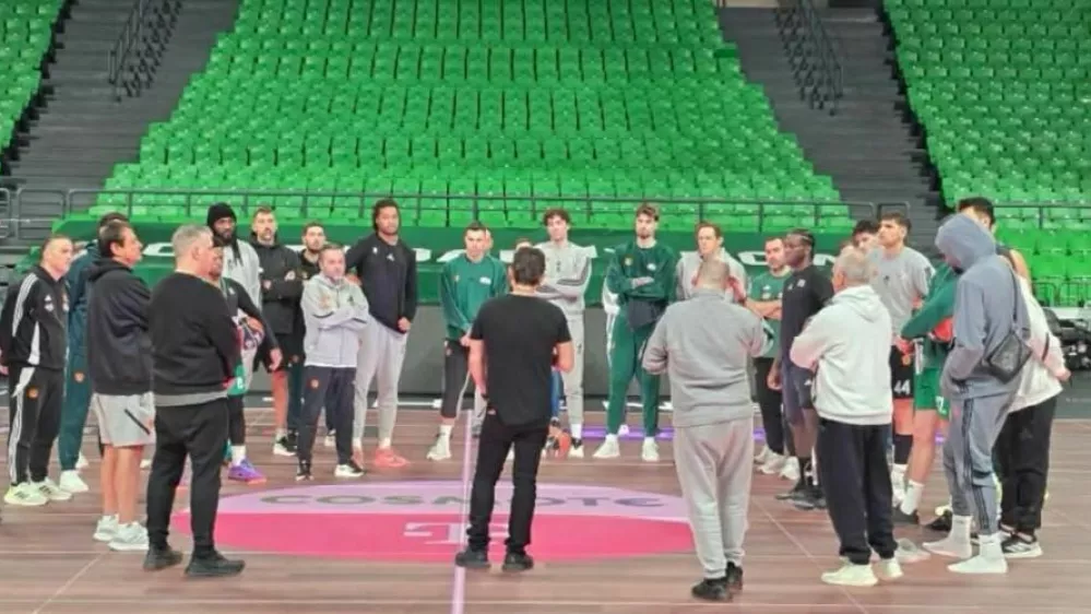 Dimitris Giannakopoulos, Panathinaikosa