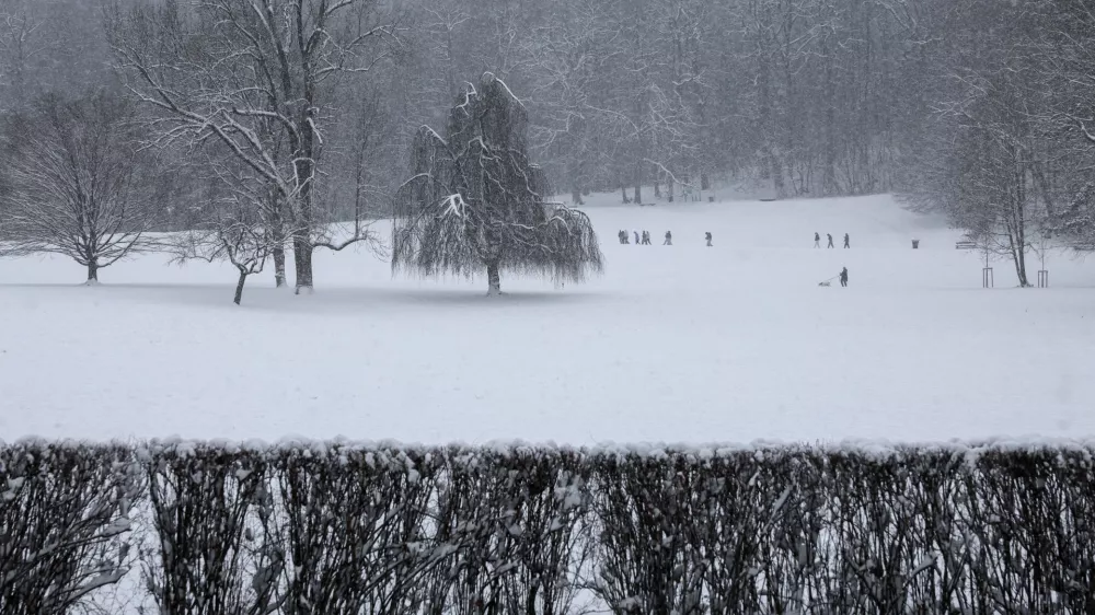 - 06.01.2026 - sneg v Ljubljani, zimske radosti, park Tivoli//FOTO: Jaka GasarOPOMBA: ZA OBJEKTIV 