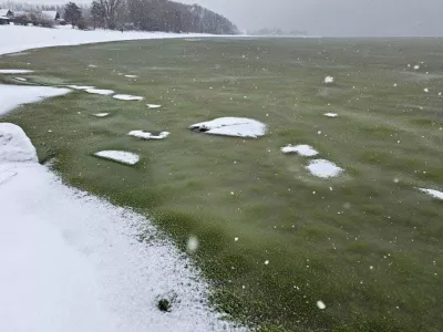 Zeleni led Lipno nad Vltavo