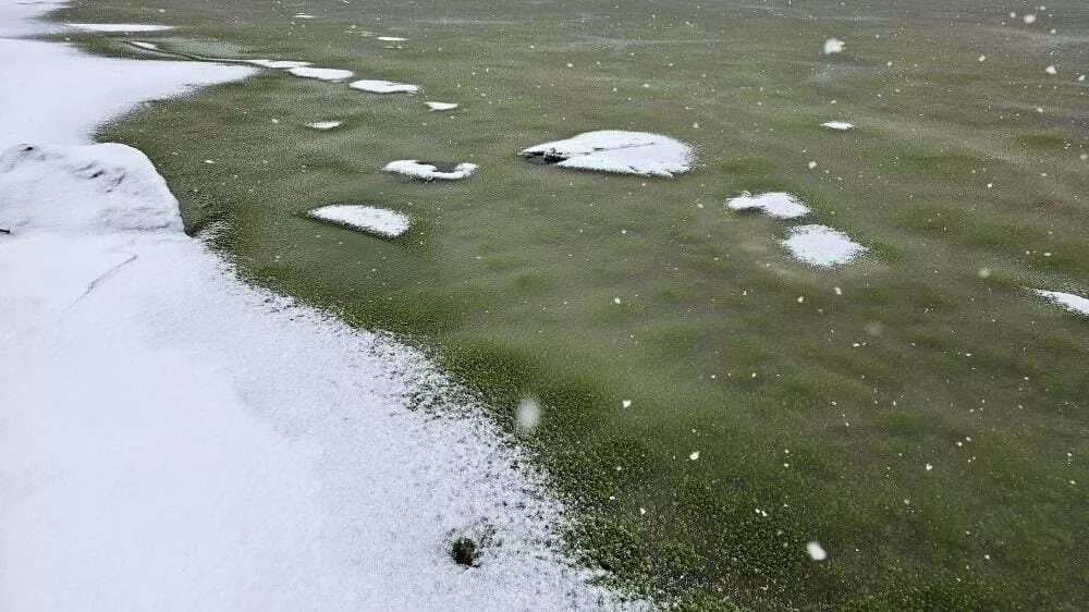 Zeleni led Lipno nad Vltavo