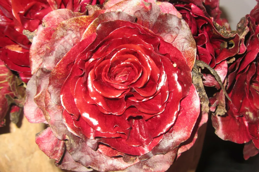 Solkanski radič, rdeča vrtnica slovenske kulinarike, čudovitost Gori&scaron;ke, pridih kraljevskega doživetja. 