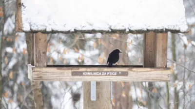 krmilnica za ptice09.01.2026 ZOO Živalski vrt Ljubljana - živali pozimiFOTO: Nik Erik Neubauer / Foto: Nik Erik Neubauer