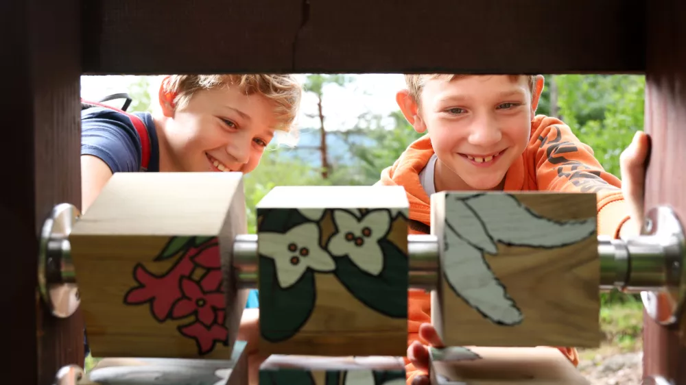 Polhov doživljajski park / Foto: Ales Fevzer