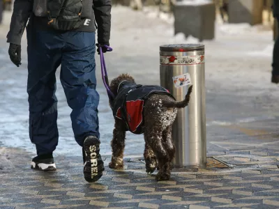 Bolni&scaron;ke odsotnosti: Kdaj gre lahko bolnik zdoma brez odobritve?