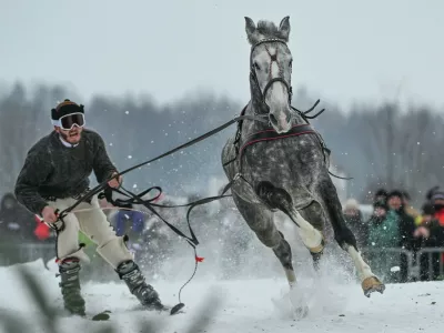 Tekmovalec in konj v akciji med tekmo v skijoringu februarja letos na Poljskem.&nbsp;/ Foto: Profimedia
